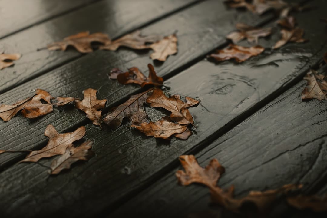 https://img1.utuku.imgcdc.com/650x0/news/20250905/c2df5b6d-74b9-4d61-b12b-7d09b44fe1e7.jpg